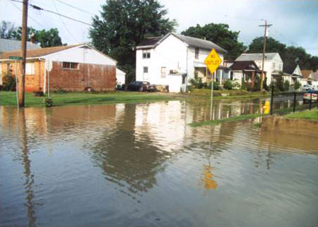 Floodplain Remediation Plan