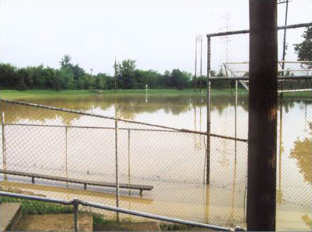 Floodplain Remediation Plan